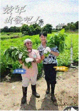 标签总量封顶规则资讯配图